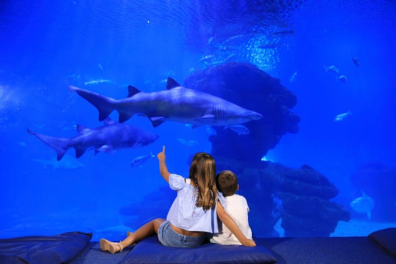 Kids enjoying the Palma Aquarium