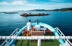 Passeio de barco pela ria de Aldán + Degustação de mexilhões
