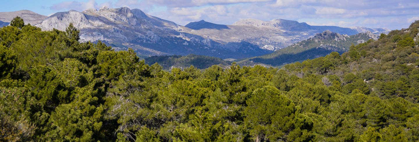 Excursión de senderismo por el Parque Natural Sierra de Huétor desde Alfacar