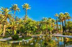 Excursion à Elche et au Parc Naturel El Hondo