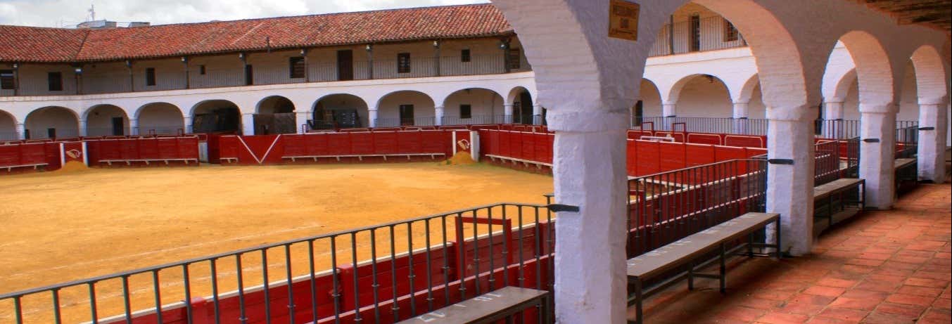 Tour privado por Almadén ¡Tú eliges!