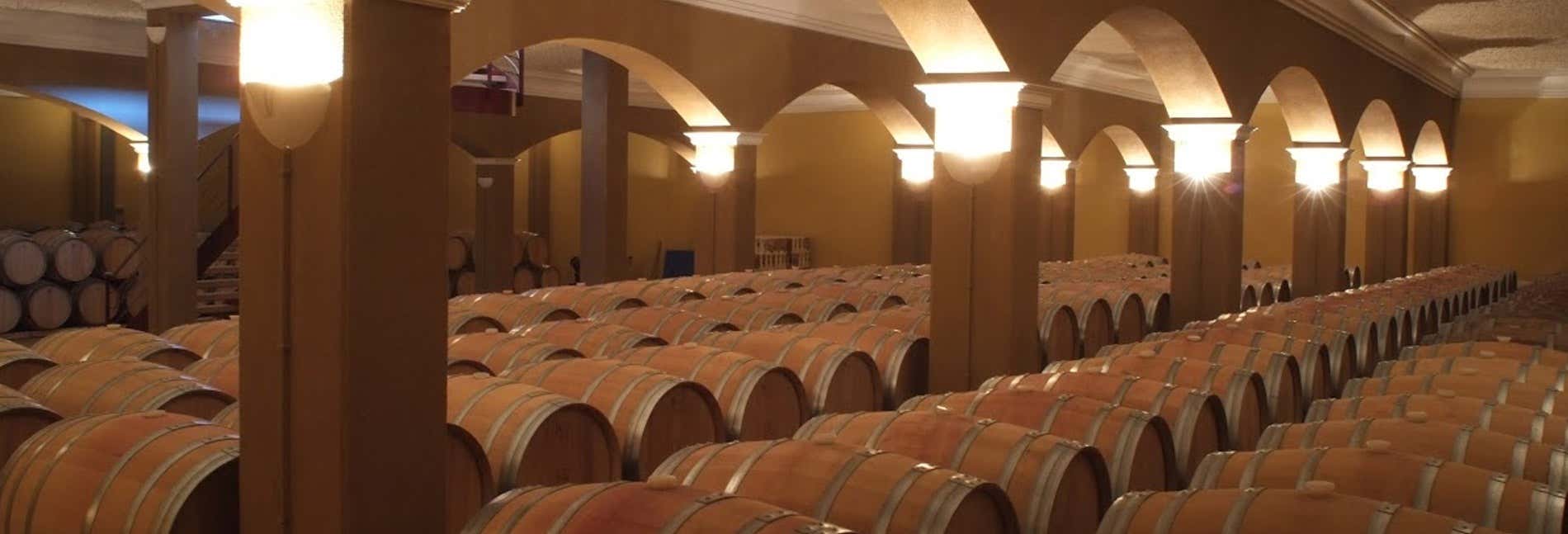 Visita a las bodegas Romale