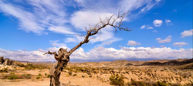 Tabernas & Fort Bravo Day Trip