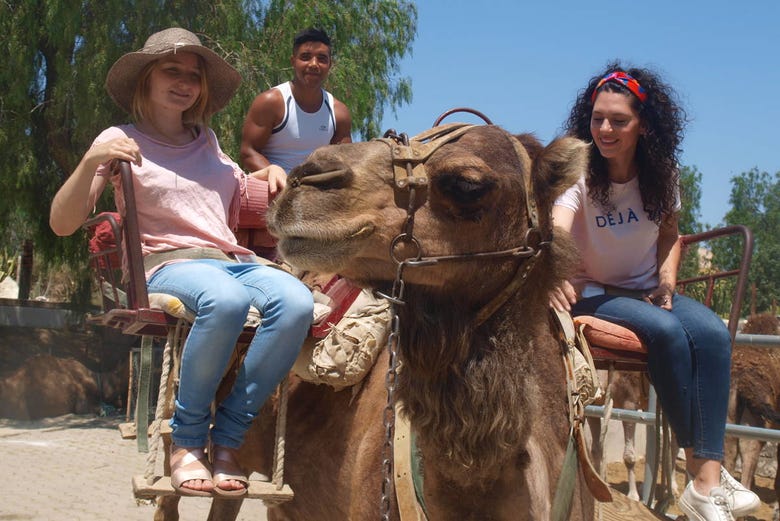 Disfrutando del paseo en camello