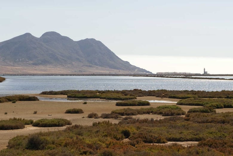 Cabo de Gata wetlands and salt flats