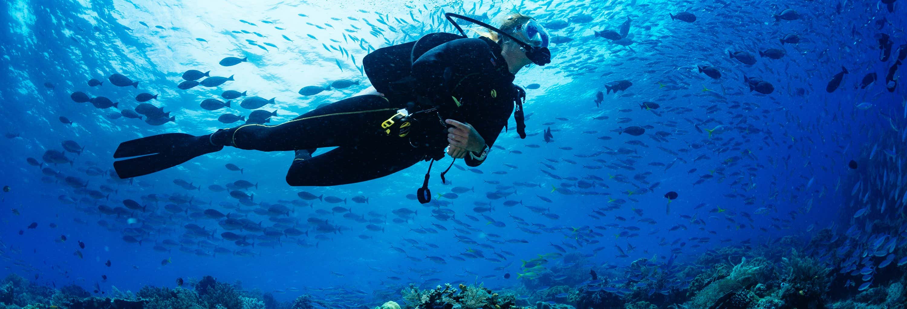 Curso de buceo PADI Open Water desde Almuñécar