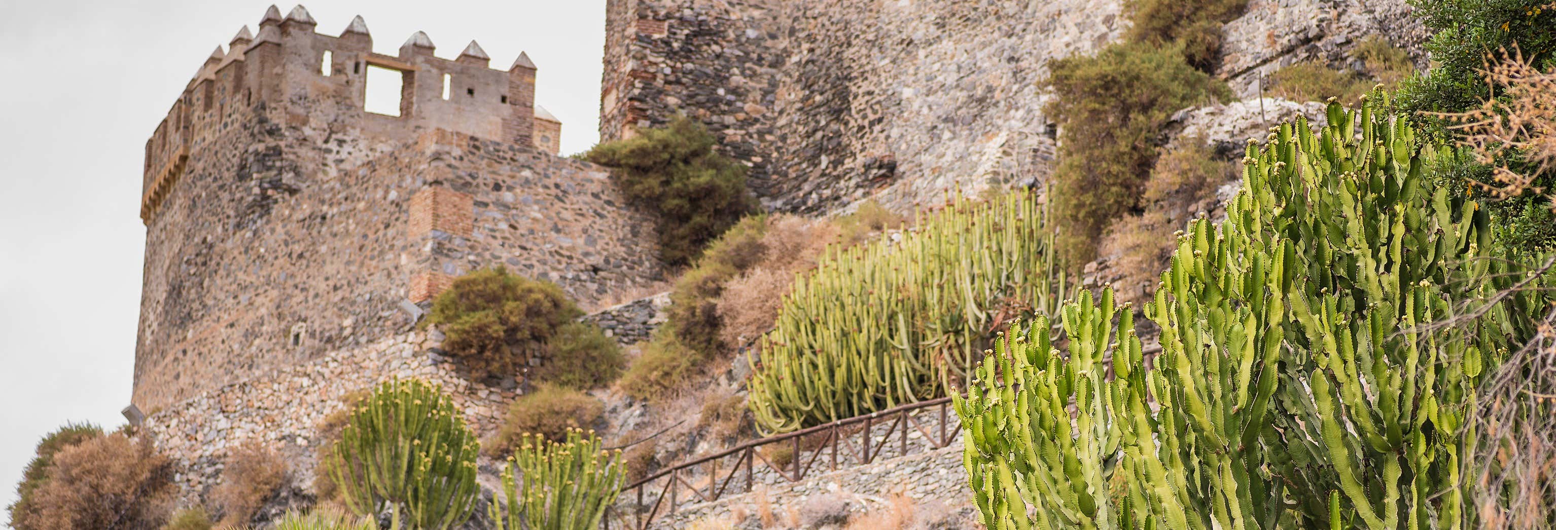 Tour privado por Almuñécar ¡Tú eliges!