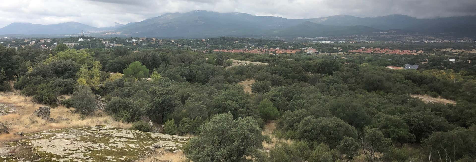Excursión de senderismo por el camino Miaccum desde Alpedrete