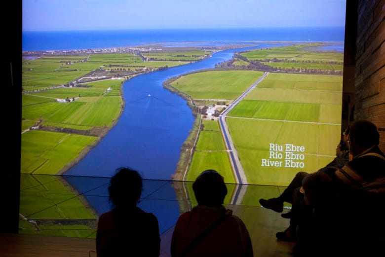 Exhibition about Delta del Ebro