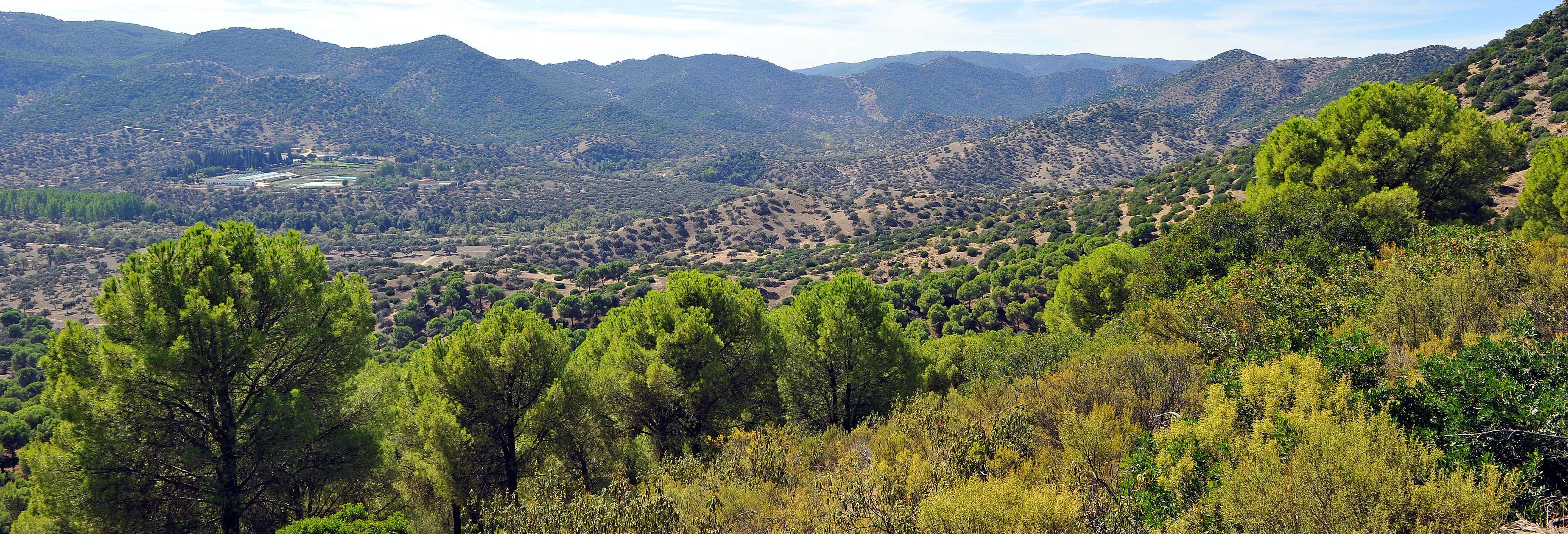 Excursión en 4x4 por la Sierra de Andújar