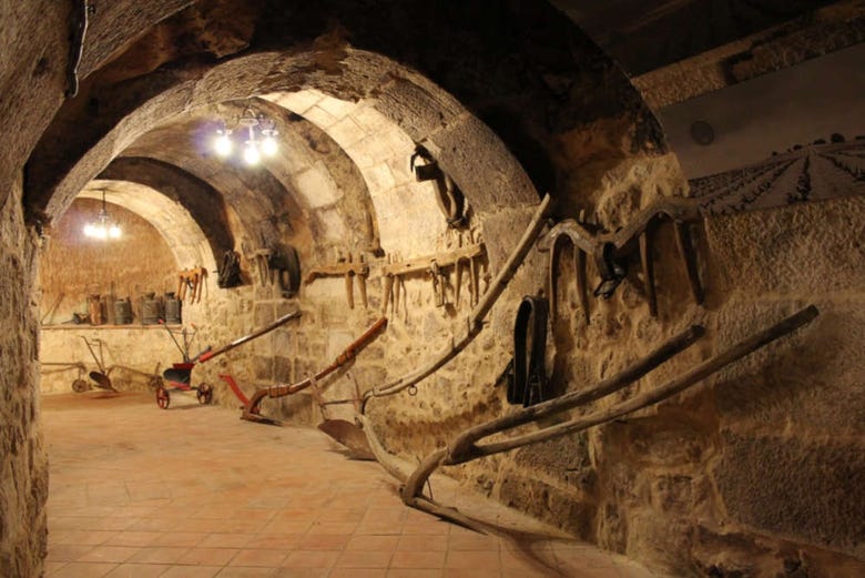 Museo del Vino