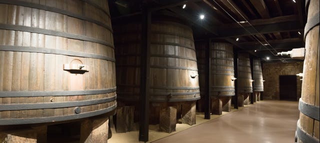 Tour por el Museo del Vino de Aranda de Duero
