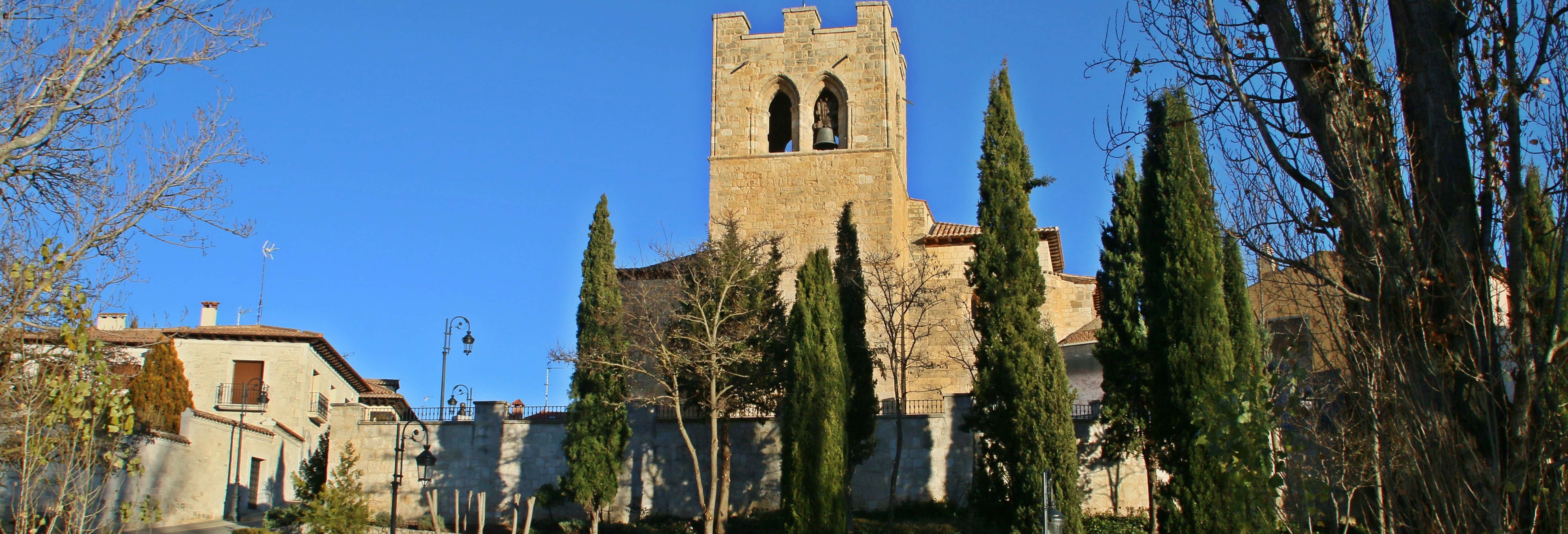 Tour privado por Aranda de Duero ¡Tú eliges!
