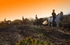 Passeggiata a cavallo nel sud di Tenerife