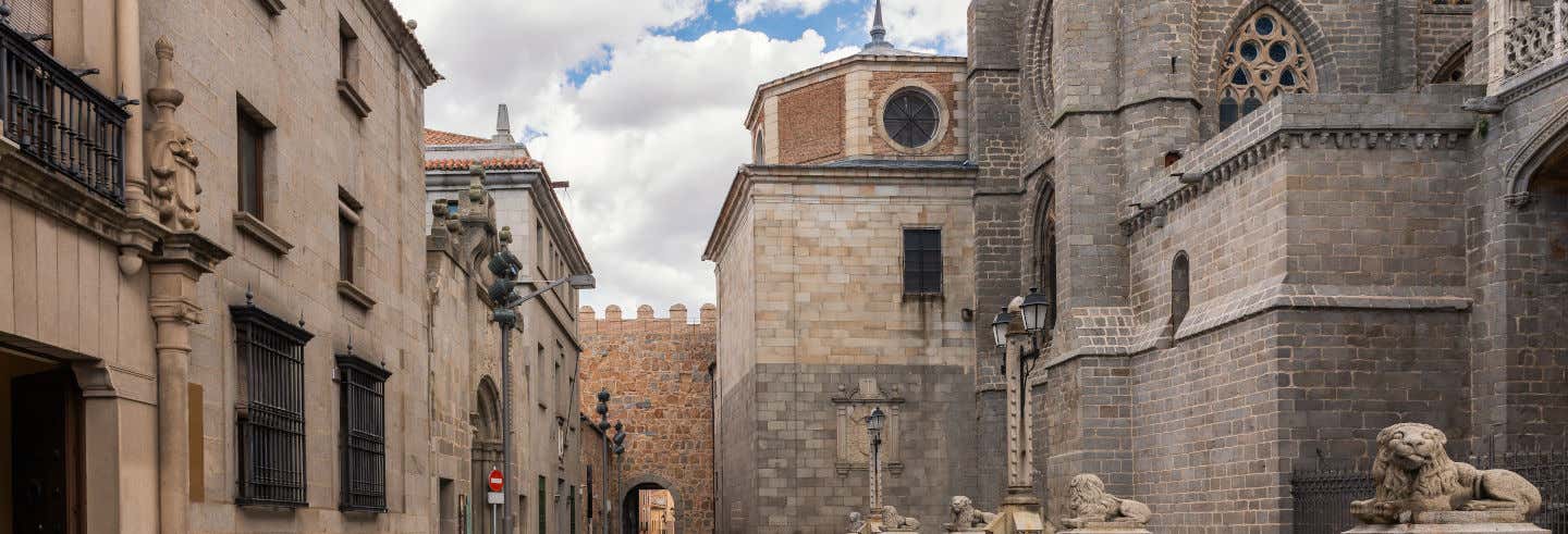 Free tour por Ávila