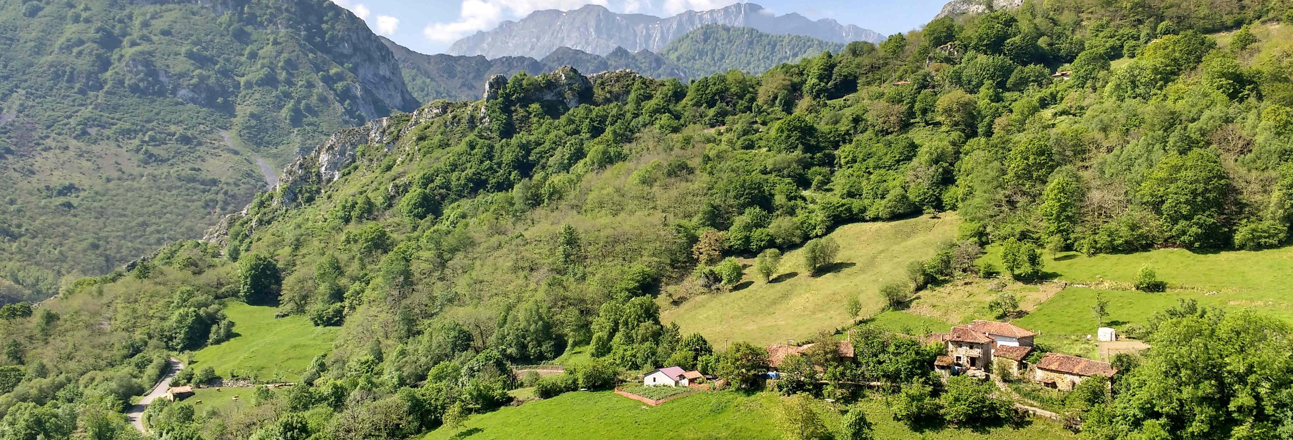 Excursión al Parque Natural de Ponga desde Avilés