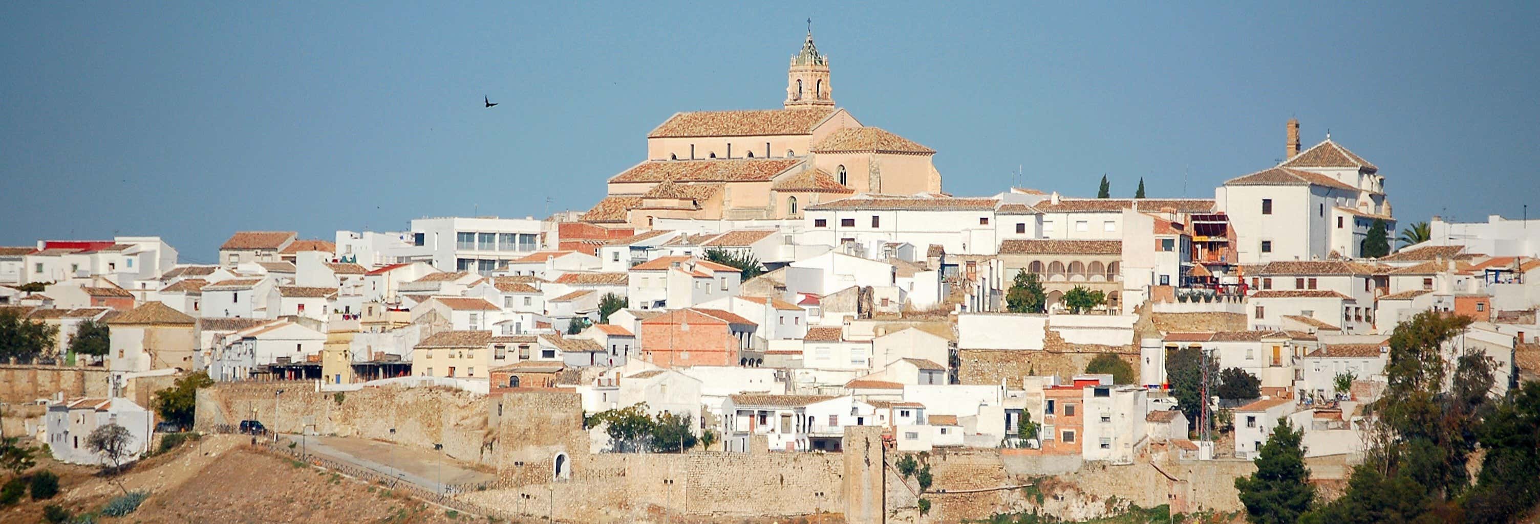 Visita guiada por Baena
