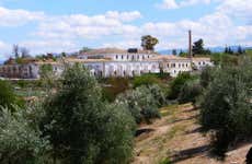Olive Culture Museum and Oil Mill Tour