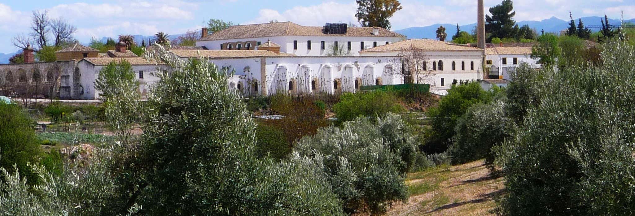 Entrada al Museo del Olivo + Visita a la Almazara desde Baeza