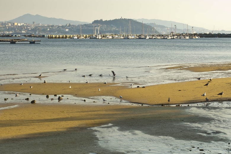 Playa en la Ría de Vigo
