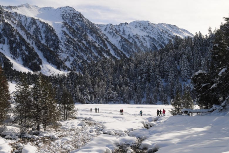 Snowshoeing through the wintry landscape