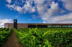 Visita a la bodega Laus