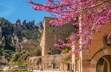 Excursión a Montserrat