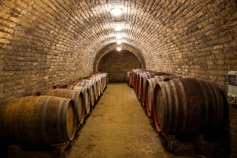 Discover the wine cellars