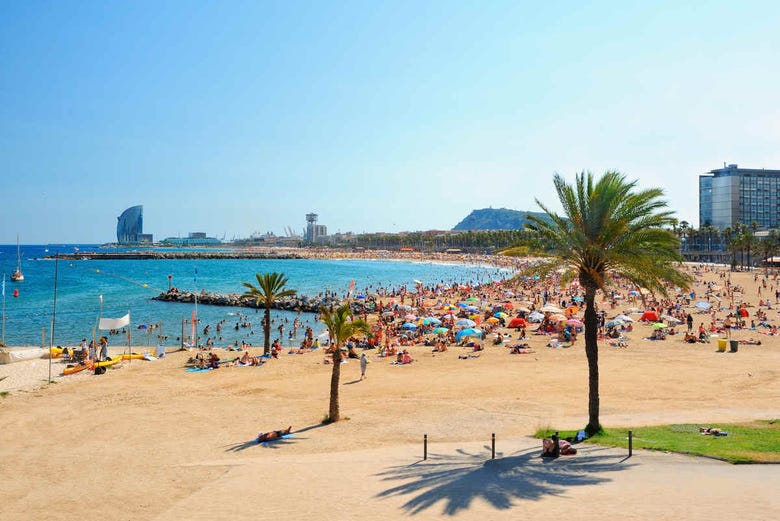 Spiagge di Barcellona