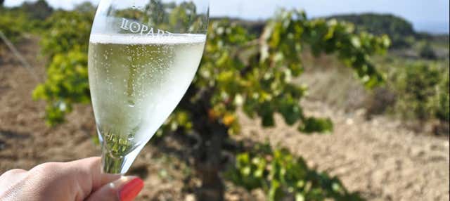 Penedès Wine and Cava Day Trip