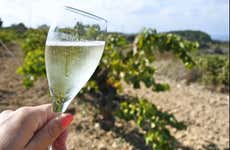Tour por las bodegas del Penedés y cavas Freixenet