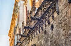 Gothic Quarter, Picasso Museum, and Born Tour