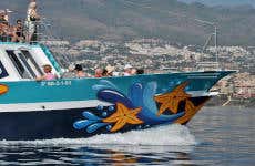Paseo en barco por Benalmádena y Torremolinos