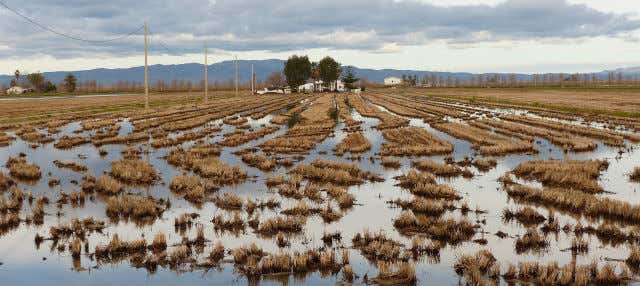 Excursión al Delta del Ebro + Paseo en catamarán