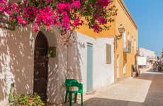 Excursão à ilha de Tabarca e palmeiral de Elche