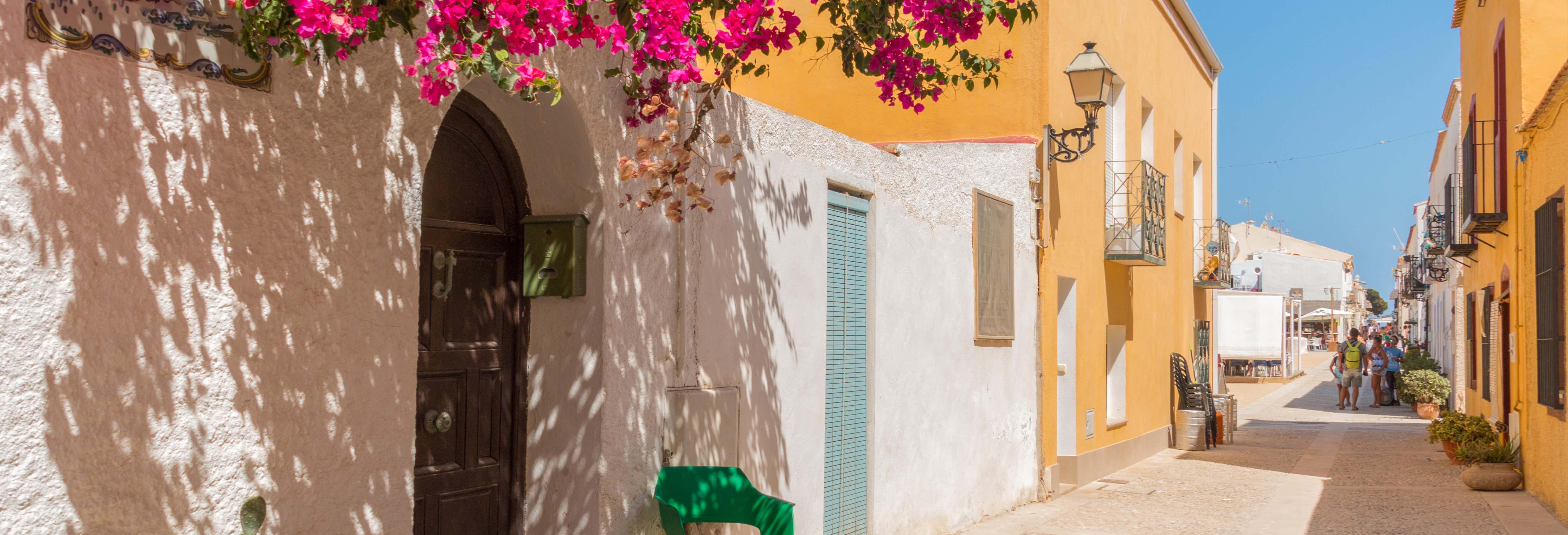 Excursión a la isla de Tabarca y palmeral de Elche