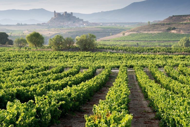 The Rioja Alavesa wine growing region
