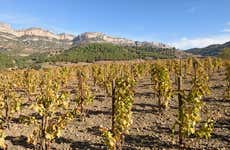 Visita della cantina Celler Cal Menescal
