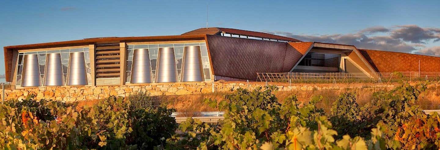 Excursión a las Bodegas Portia