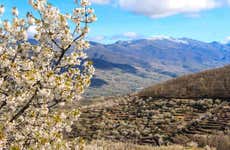 Excursión al Valle del Jerte