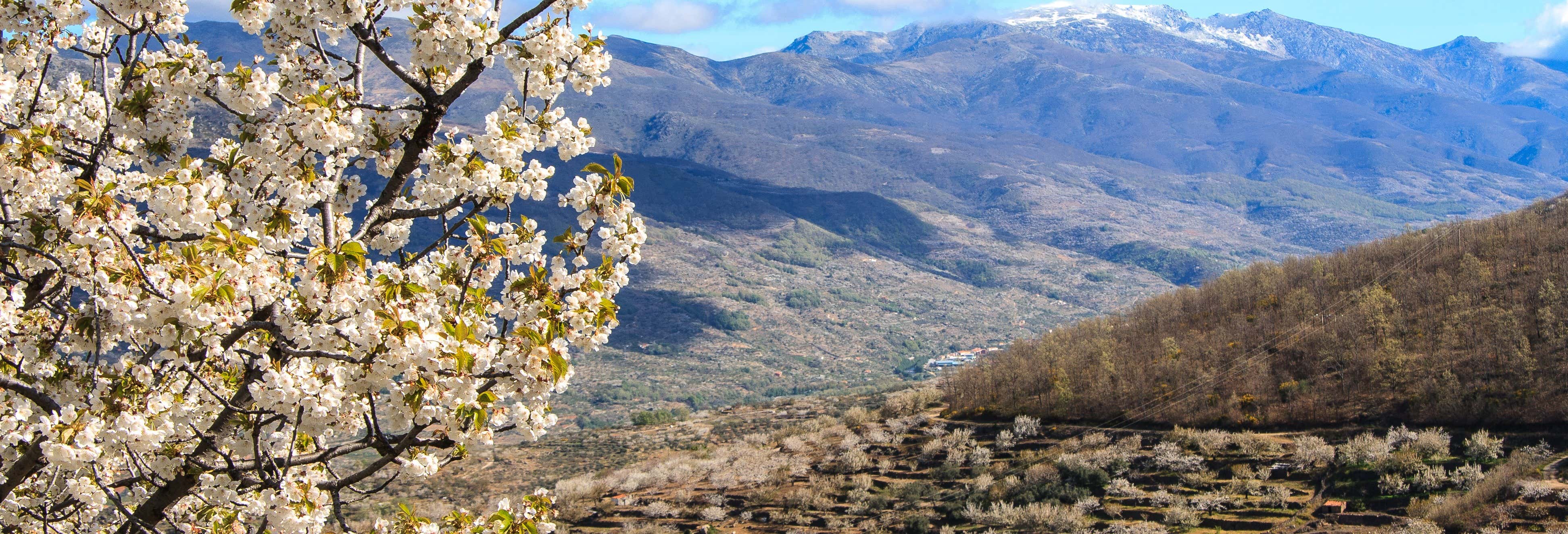Excursión al Valle del Jerte desde Cáceres