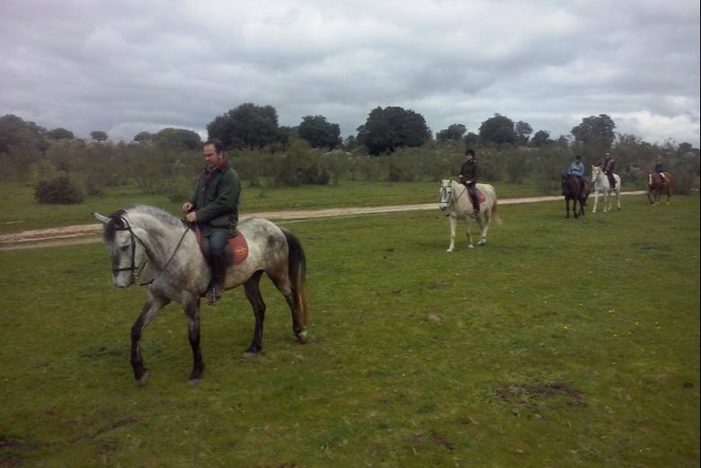A lomos de caballos por los paisajes de Cáceres