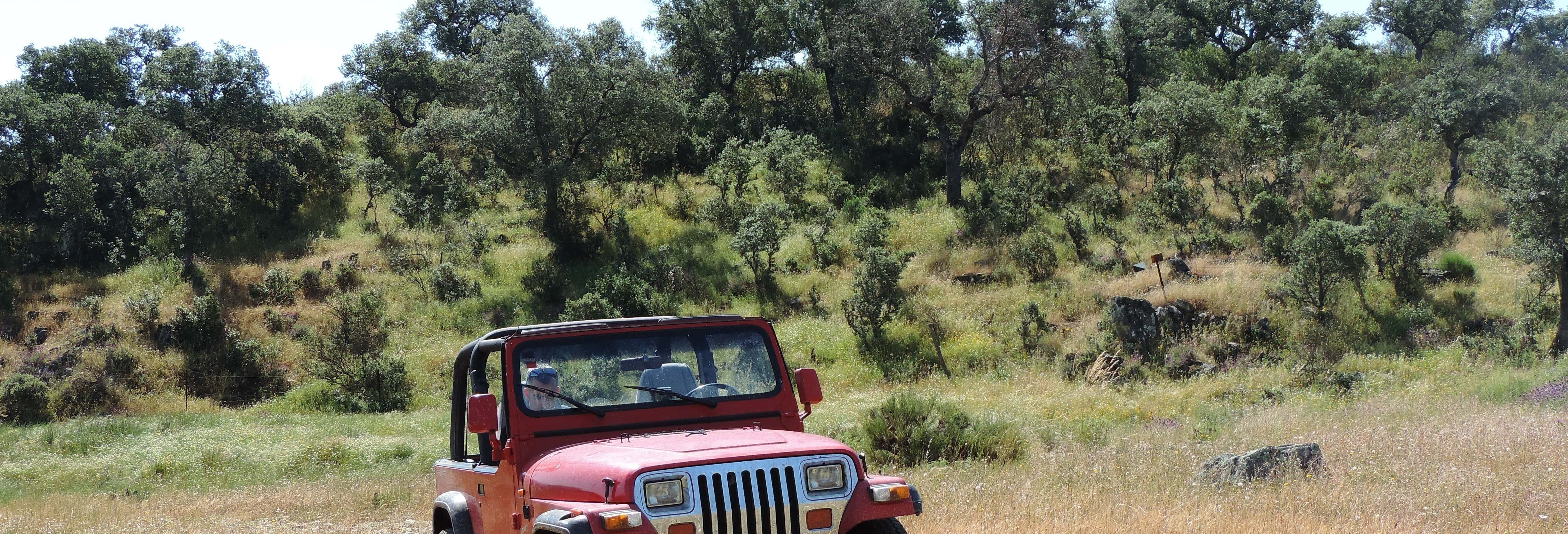 Tour en 4x4 por la Sierra de San Pedro desde Cáceres