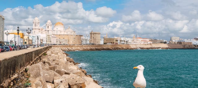 Private Tour of Cádiz