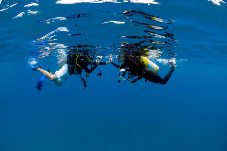 The beginner's scuba dive in Cambrils