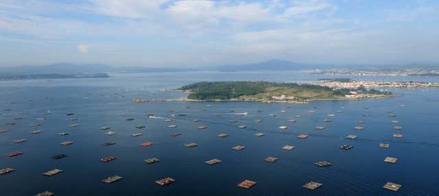 Passeio de barco pela Ria de Vigo + Degustação de mexilhões