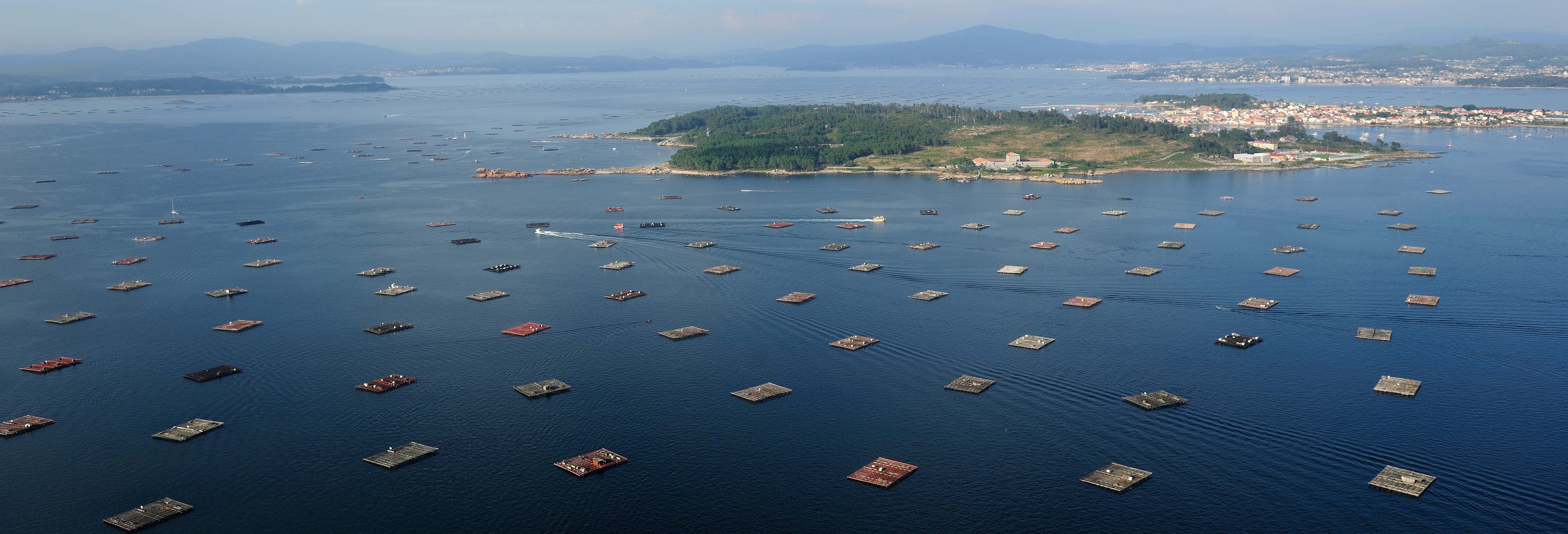 Paseo en barco por la Ría de Vigo + Degustación de mejillones desde Cangas de Morrazo