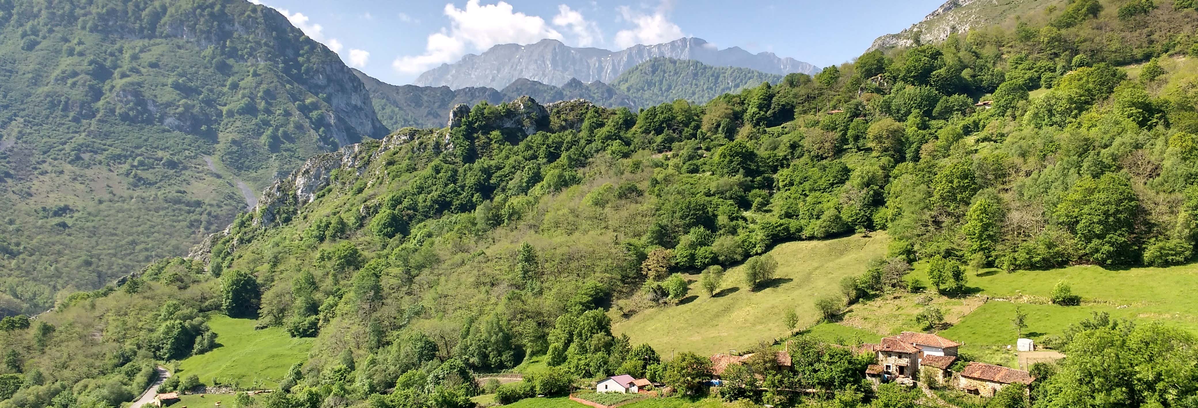 Excursión al Parque Natural de Ponga desde Cangas de Onís