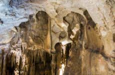 Visita guiada por la Cueva del Puerto
