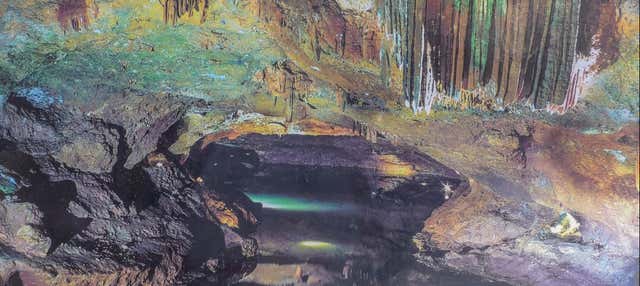 Excursão às grutas de San José